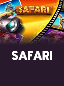 WIN222 🏟️ Aposte ao vivo em Apostas no Brasil